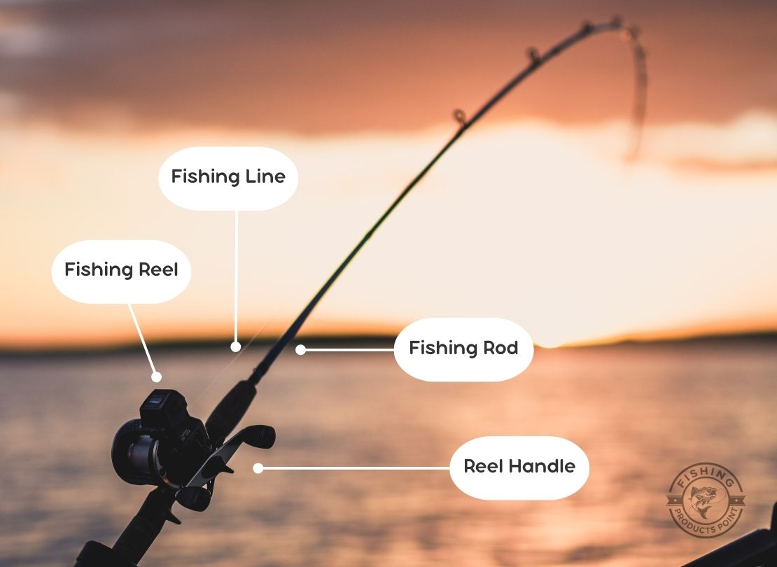 what is a fishing rod and how to use a fishing rod? infographic