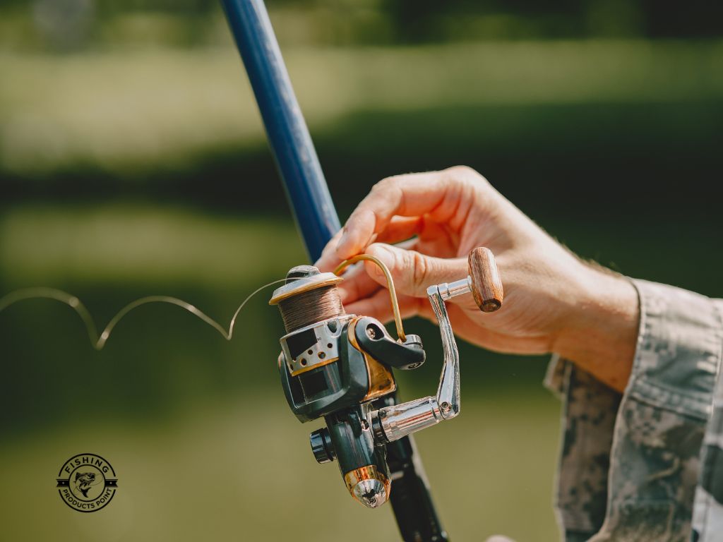 How to Set Up a Baitcasting Reel?