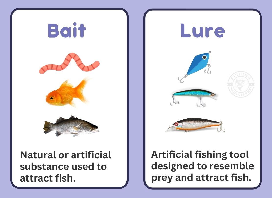 fishing bait vs fishing lure infographic 