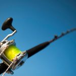 Best Catfish Rod And Reel Combo