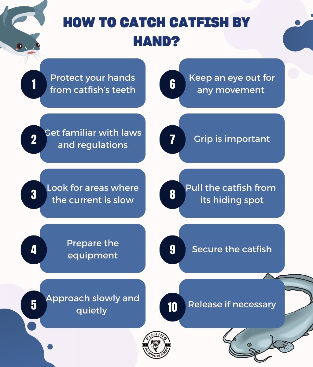 How to Catch Catfish by Hand infographic