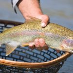How To Trout Fishing