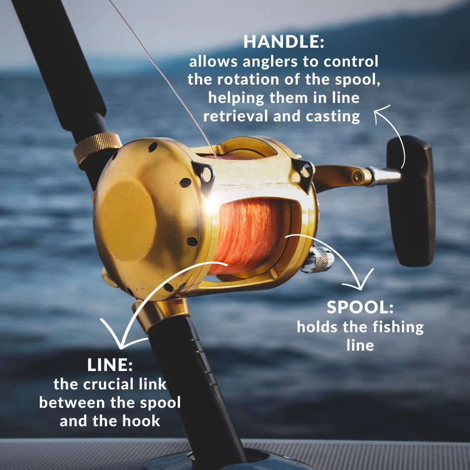 How to Set Up a Baitcasting Reel?